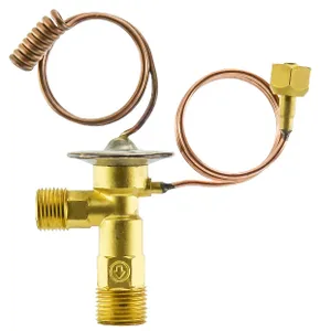 TruckAir Expansion Valve 364622 