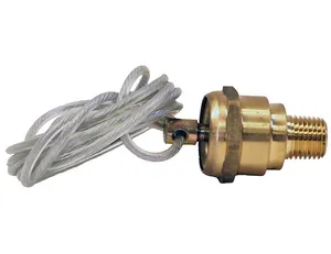 Buyers Products VALVE,DRAIN,AIR 462906 