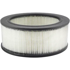Baldwin Air Element 248588 