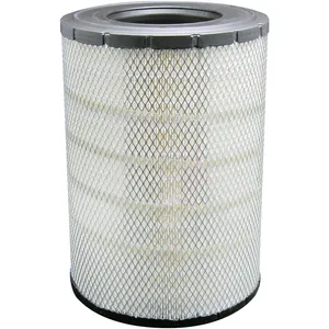 Baldwin Air Element 229224 