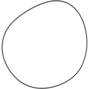 Spicer O RING 505736 