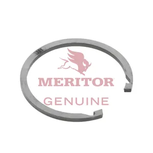 Meritor Ring-Snap .161 719976 