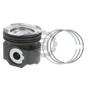 PAI KIT,PISTON/RING 624198 