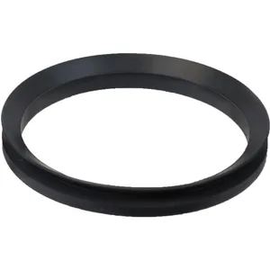 SKF Seal 1107545 