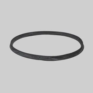 Donaldson GASKET 1069252 