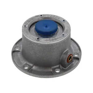 PAI HUB CAP 678780 