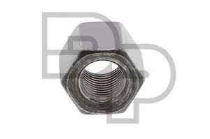 Dayton U-Bolt Nut 212702 