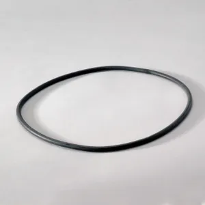 Donaldson GSKT 1065686 
