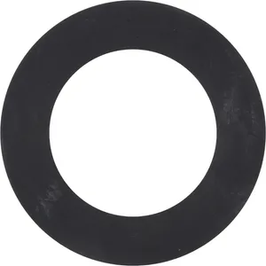Spicer Washer 245624 