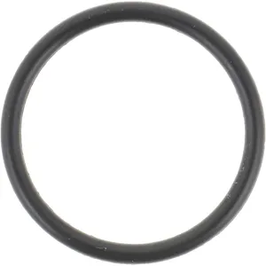 Spicer O RING 500646 