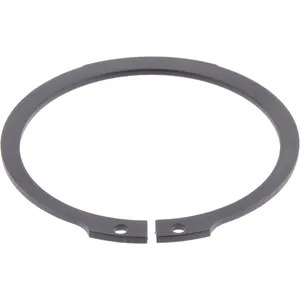 Spicer RING 519876 