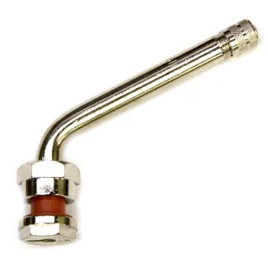 Group 31 Tire Valve Stem 244200 