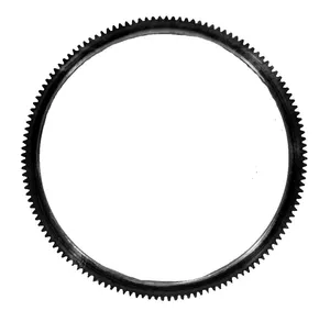 AKMI Ring Gear - Flywheel Starting (Serviced Sep From Flywheel) 218418 