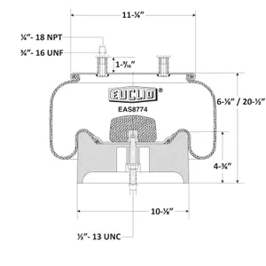 Euclid Air Spring 6351206 