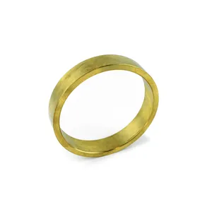 Access Truck Parts Wearing Ring (B3J) 2518056 