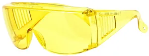 TruckAir Tool - Safety Goggles 1877560 