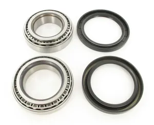 SKF Bearing 1788199 