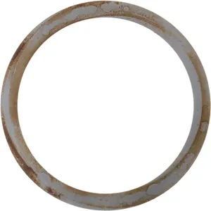 Spicer SHIM 504366 