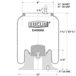 Euclid Air Spring 6350062 
