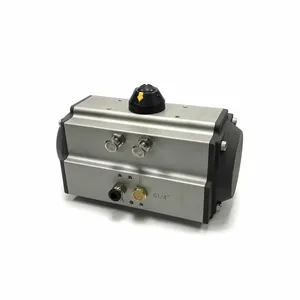 Access Truck Parts Butterfly Valve Actuator (Spring Return) - 3 2323522 