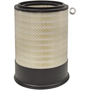 Baldwin Air Element 240666 