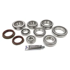 Timken Differential Rebuild Kit 872652 