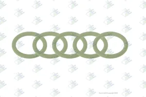 Euroricambi O-RING 315100 