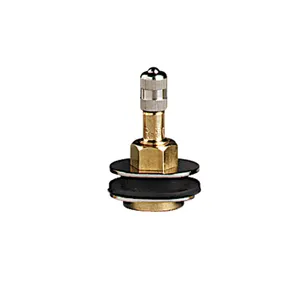 Group 31 Tire Valve Stem Extension 1042016 