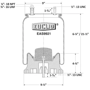 Euclid Air Spring 6350702 