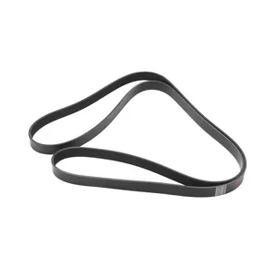 Armada 8 Rib Belt 3893544 