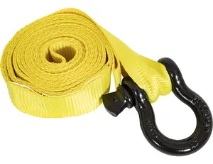 Buyers Products STBD  RECOVERY STRAP,2inx12ft, 1574312 