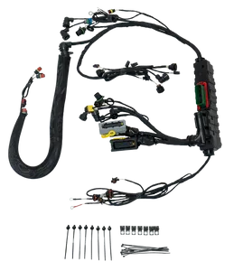 Roadwarrior Engine Wire Harness 5572587 