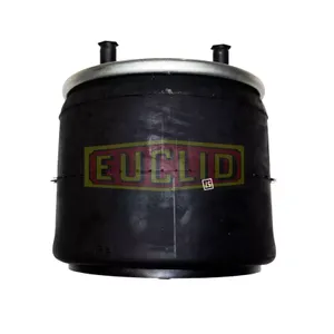 Euclid Air Spring 6350324 