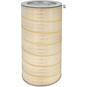 Baldwin Air Element 245930 