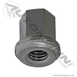 Automann Nut Group 31 Cl 327468 