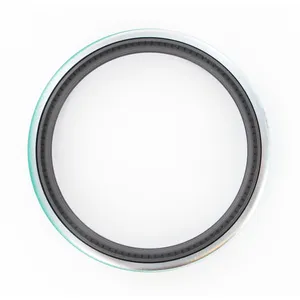 SKF Seal 494898 
