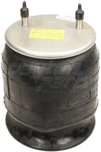 Dayton Air Spring 1481100 