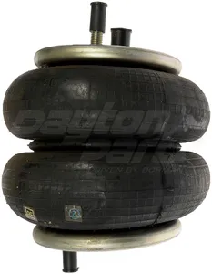 Dayton AIR SPRING 4010541 