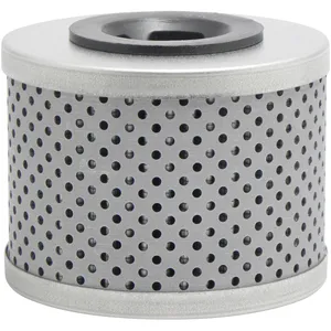 Baldwin Hydraulic Element 243334 