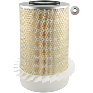 Baldwin Air Element 245548 