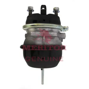 Meritor Ay-Chmbr Brake 770730 