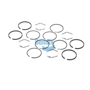 Bendix SET RING STD 423424 