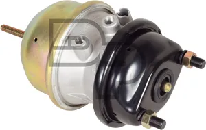 Dayton Air Disk Brake Chamber 4304516 