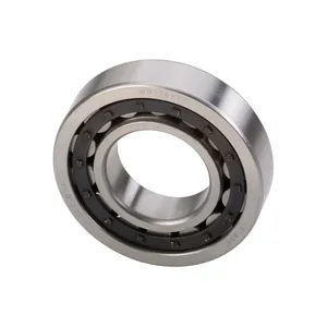National Cylindrical Bearing 2145073 