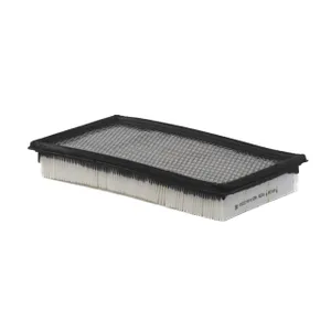Donaldson AIR PANEL 2055867 