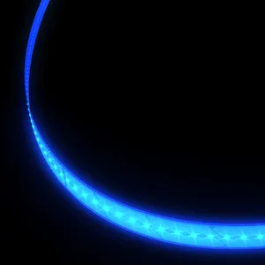 Grote Exterior Lighting Strip 2241184 