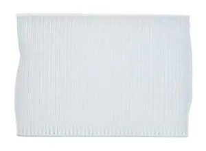 TruckAir Air Filter - Cabin 1880769 