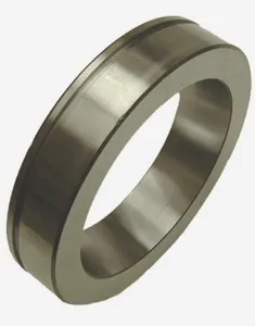 SKF Bearing Race 1791291 