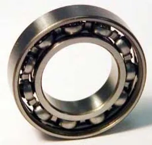SKF Bearing 1796036 