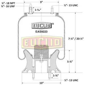 Euclid Air Spring 6350522 